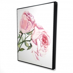 Watercolor pink roses