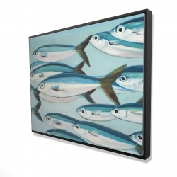 Small fish of caesio caerulaurea