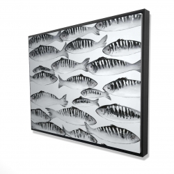 Banc de poisson gris