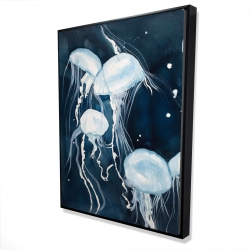 Meduses