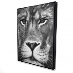 Lion portrait