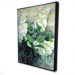 Lilas blanc