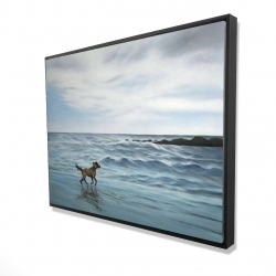 Dog on the beach