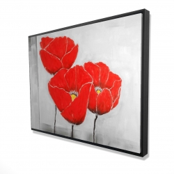 Three poppies