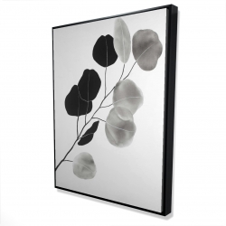 Branche en tons de gris et feuilles rondes