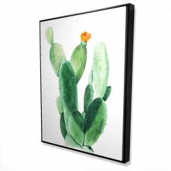 Cactus en fleuraison
