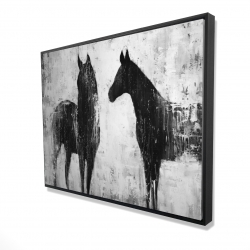 Chevaux blancs et noirs