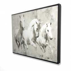 Three white horses running