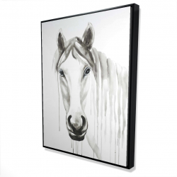 Solitary white horse