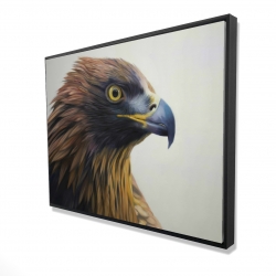 Brown-headed eagle