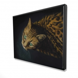 Bengal cat