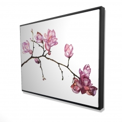 Branch of cherry blossoms