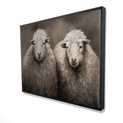 Moutons sépia