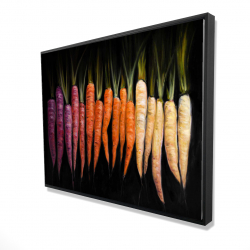 Colorful carrots