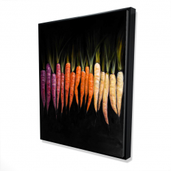 Colorful carrots