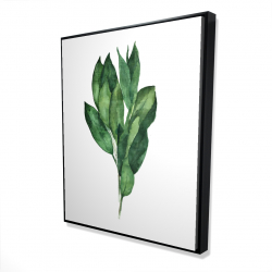 Bouquet de feuilles de laurier