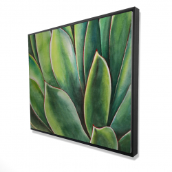 Plante d'agave à l'aquarelle