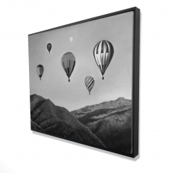 Air balloon landscape