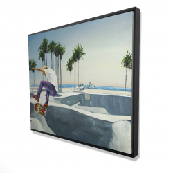 Skate park california