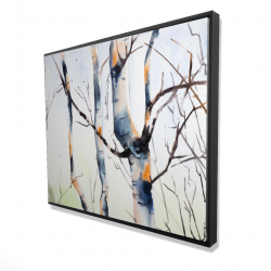 Three small birch trees