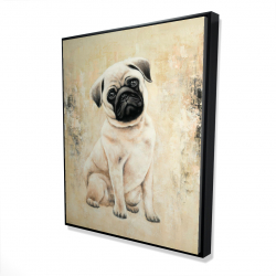Small pug dog
