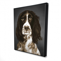 Brown english springer spaniel