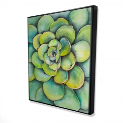 Succulent à l'aquarelle