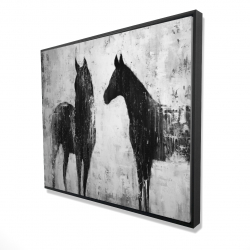 Chevaux blancs et noirs