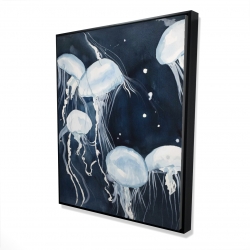 Meduses
