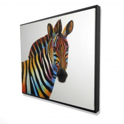 Colorful profile view of a zebra