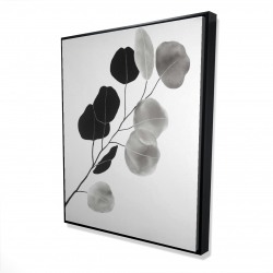 Branche en tons de gris et feuilles rondes