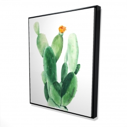 Cactus en fleuraison