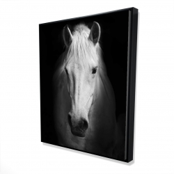 Monochrome horse