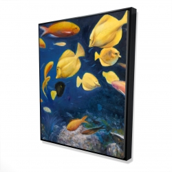 Fish under the sea