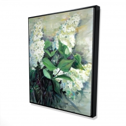 Lilas blanc