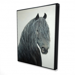 Cheval coeur sauvage