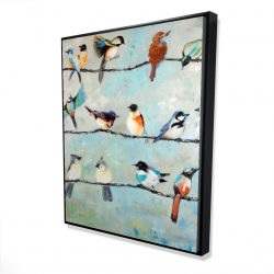 Petits oiseaux colorés