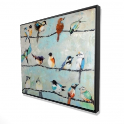 Petits oiseaux colorés