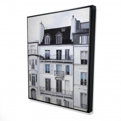 Buildings along the seine river
