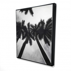 Monochrome palm trees