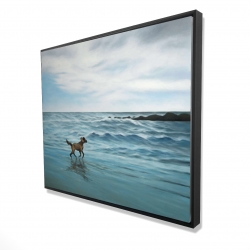 Dog on the beach