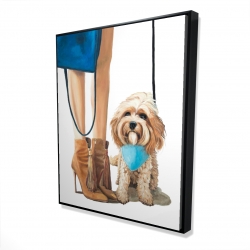 Chien cavoodle à la mode