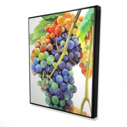 Colorful bunch of grapes