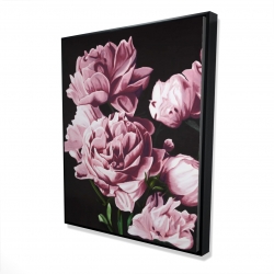 Pivoines roses