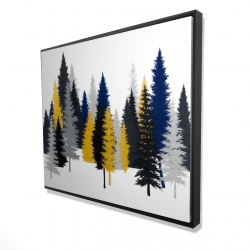 Golden fir