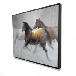 Troupeau de chevaux sauvages
