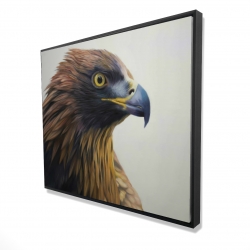 Brown-headed eagle