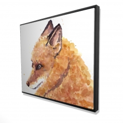 Renard