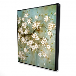 White cherry blossom