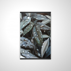 Leaves after rain